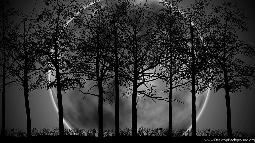 Silhouetted bare trees against a large glowing moon in a dark monochrome landscape HD wallpaper