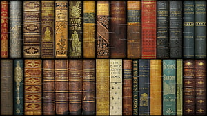Vintage Antique Leather Book Spines With Gold Embossing HD wallpaper