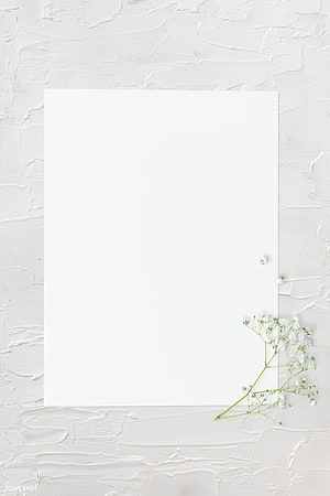Minimalist White Paper Mockup with Baby's Breath on Textured Plaster Background HD phone wallpaper