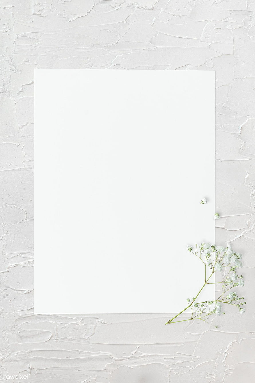 Minimalist White Paper Mockup with Baby's Breath on Textured Plaster Background HD phone wallpaper