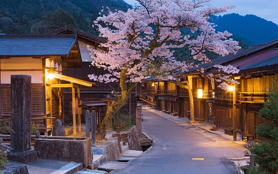 Traditional Japanese Village Street Lined with Cherry Blossoms at Dusk HD wallpaper