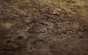 Dark Earthy Soil Texture with Rough Natural Surface Details HD wallpaper