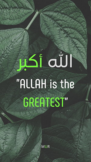 Allahu Akbar Islamic Quote on Dark Green Leaf Background HD phone wallpaper