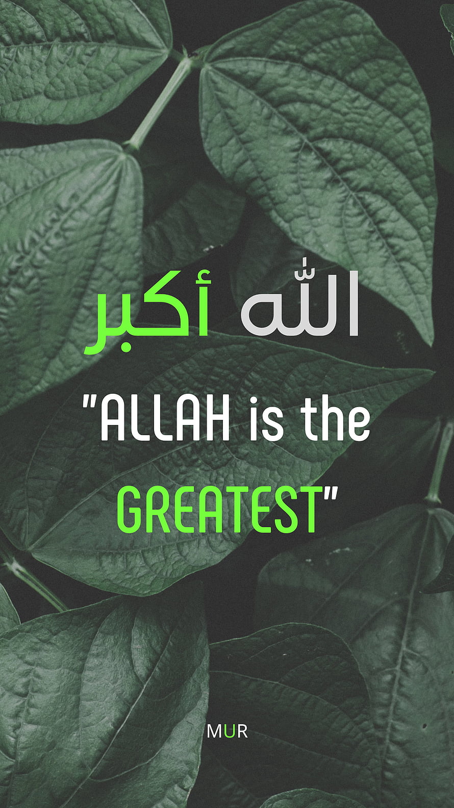 Allahu Akbar Islamic Quote on Dark Green Leaf Background HD phone wallpaper