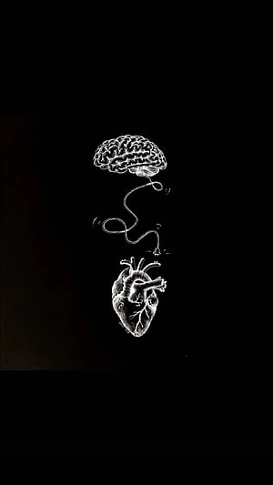 Anatomical Brain and Heart Connected by Electrical Cord on Black Background HD phone wallpaper
