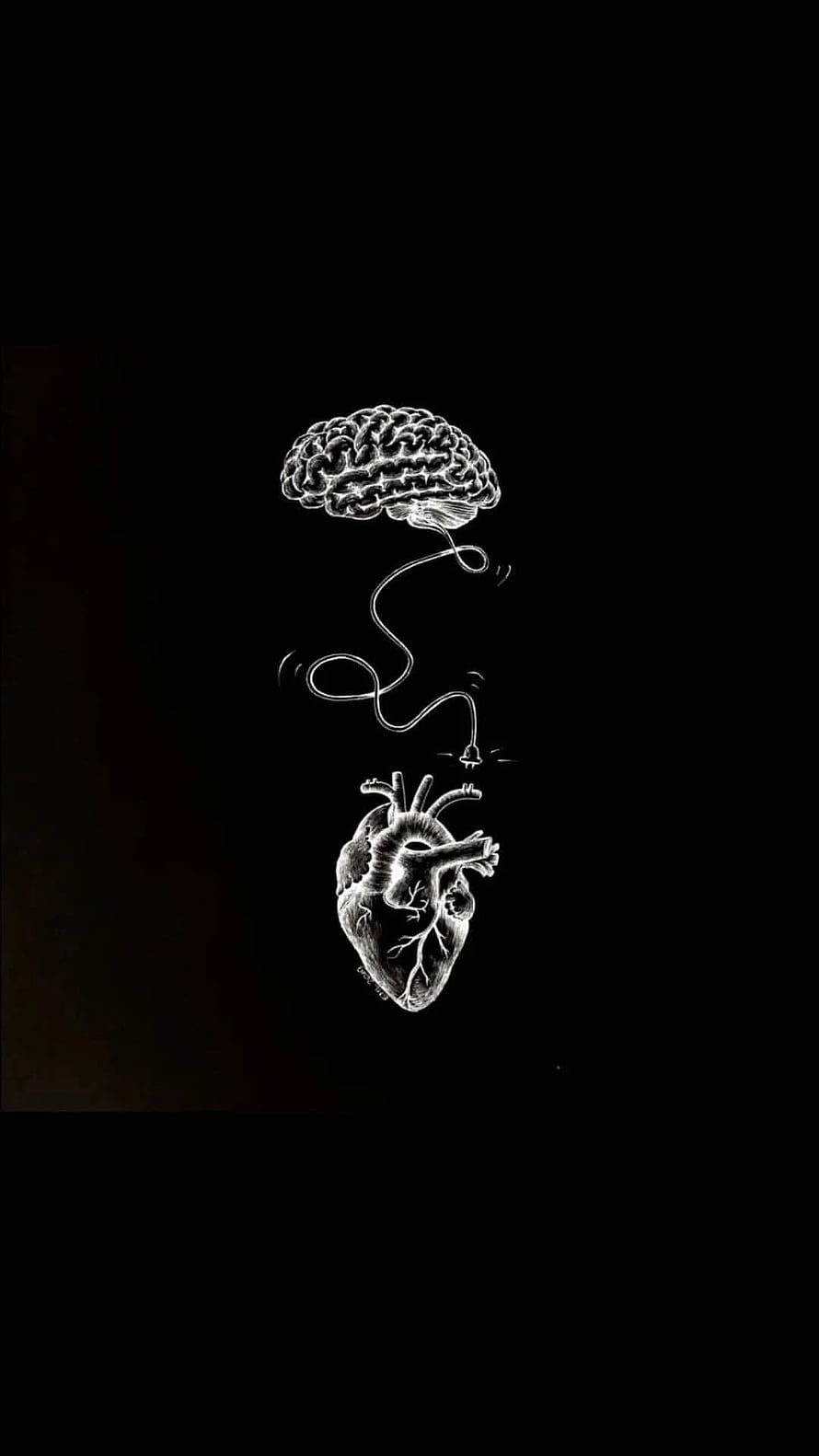 Anatomical Brain and Heart Connected by Electrical Cord on Black Background HD phone wallpaper