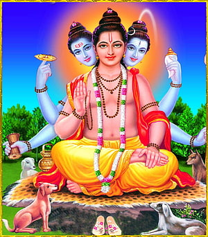 Lord Dattatreya Tri-Mukhi Deity with Dogs and Sacred Symbols HD phone wallpaper
