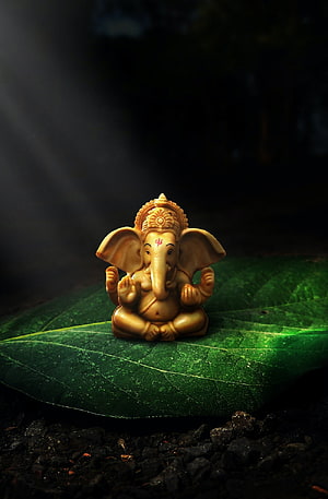 Ganesha idol seated in meditation on a large green leaf with dramatic dark background lighting HD phone wallpaper