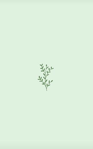 Minimalist Green Leaf Branch Illustration on Soft Pastel Background HD phone wallpaper