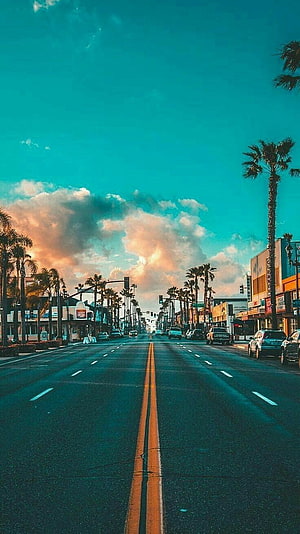 Sunset Boulevard in Los Angeles with Palm Trees and Dramatic Clouds HD phone wallpaper