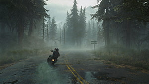 Days Gone Motorcycle Ride Through Foggy Forest Road HD wallpaper