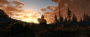 The Witcher Rider Silhouette at Sunset in a Misty Forest Landscape HD wallpaper