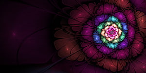 Vibrant Fractal Flower with Golden Ratio Symmetry on Dark Background HD wallpaper