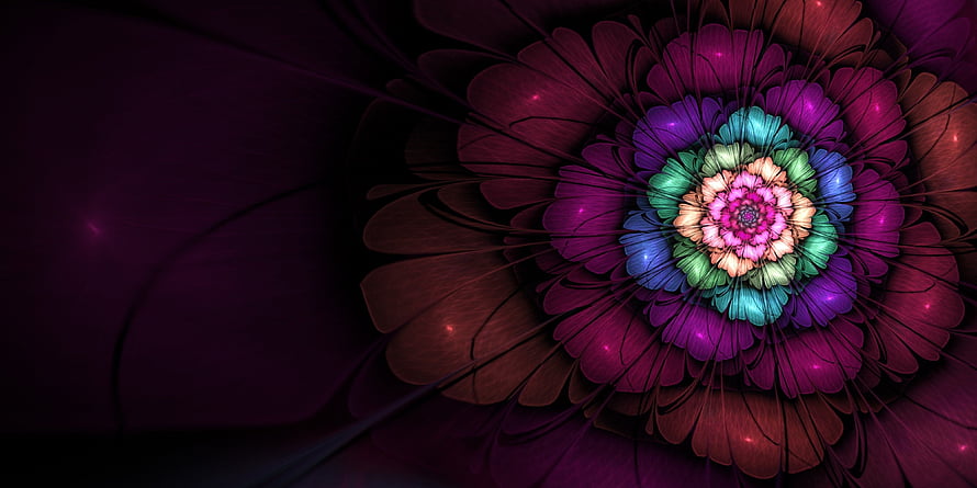 Vibrant Fractal Flower with Golden Ratio Symmetry on Dark Background HD wallpaper