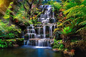 Lush tropical jungle waterfall cascading over mossy rocks into a serene pond HD wallpaper