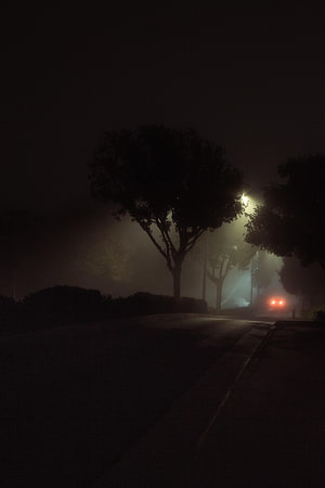 Eerie Foggy Night Street Scene With Glowing Streetlights And Distant Car Headlights HD phone wallpaper