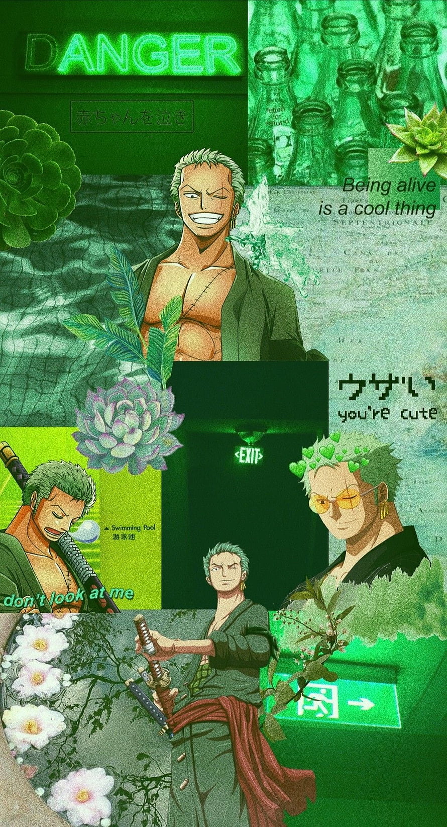 Roronoa Zoro One Piece Aesthetic Collage with Green Botanical Elements and Neon Text HD phone wallpaper