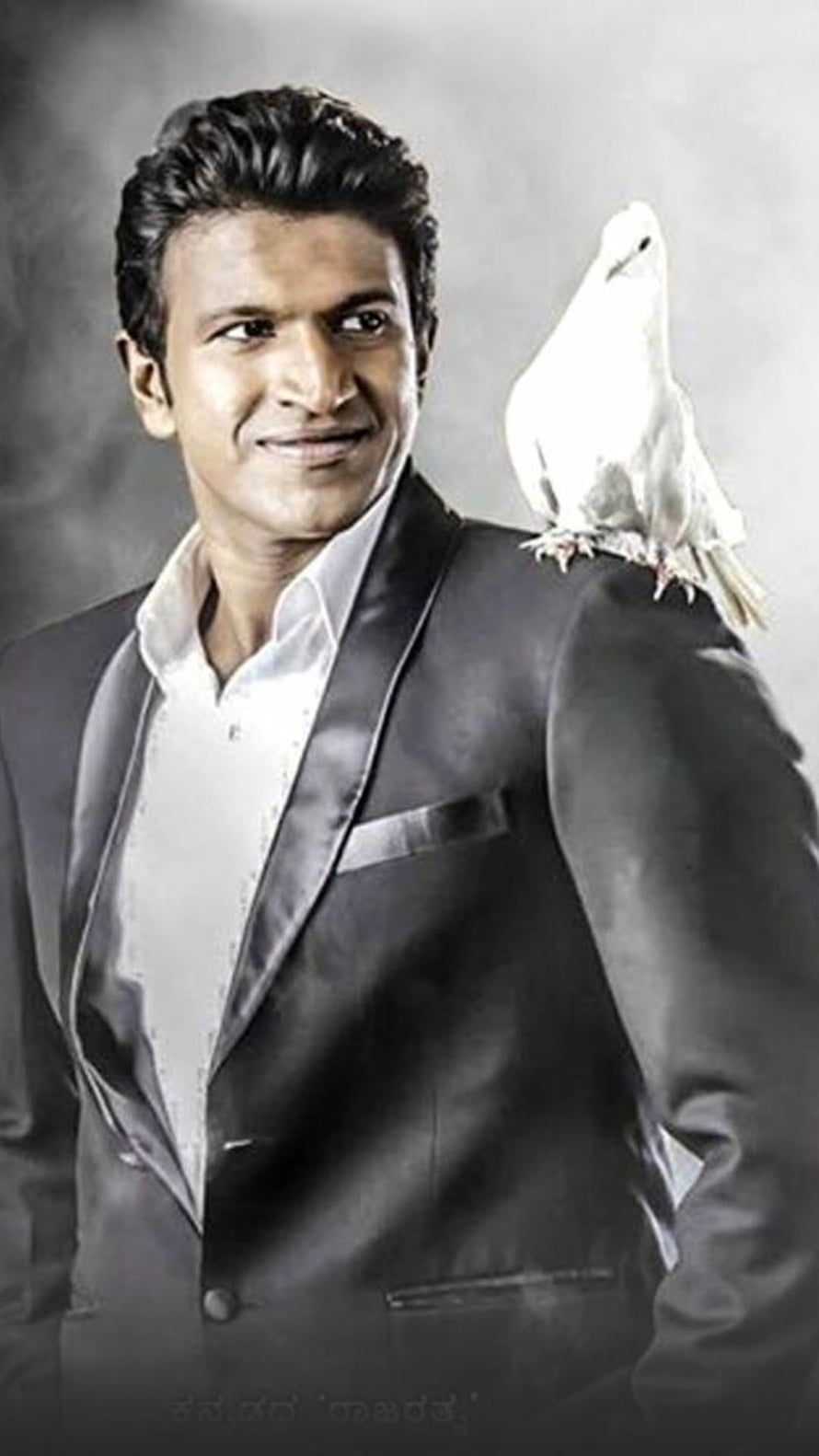 Punith Rajkumar in a dark suit with a white dove perched on his shoulder HD phone wallpaper