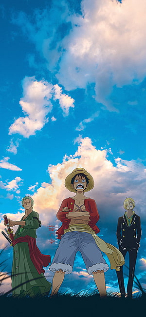 One Piece Straw Hat Crew Standing on a Hill Under a Dramatic Cloudy Sky HD phone wallpaper