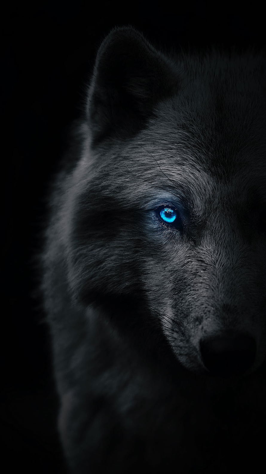 Majestic Grey Wolf Portrait With Glowing Blue Eyes Against Dark Background HD phone wallpaper