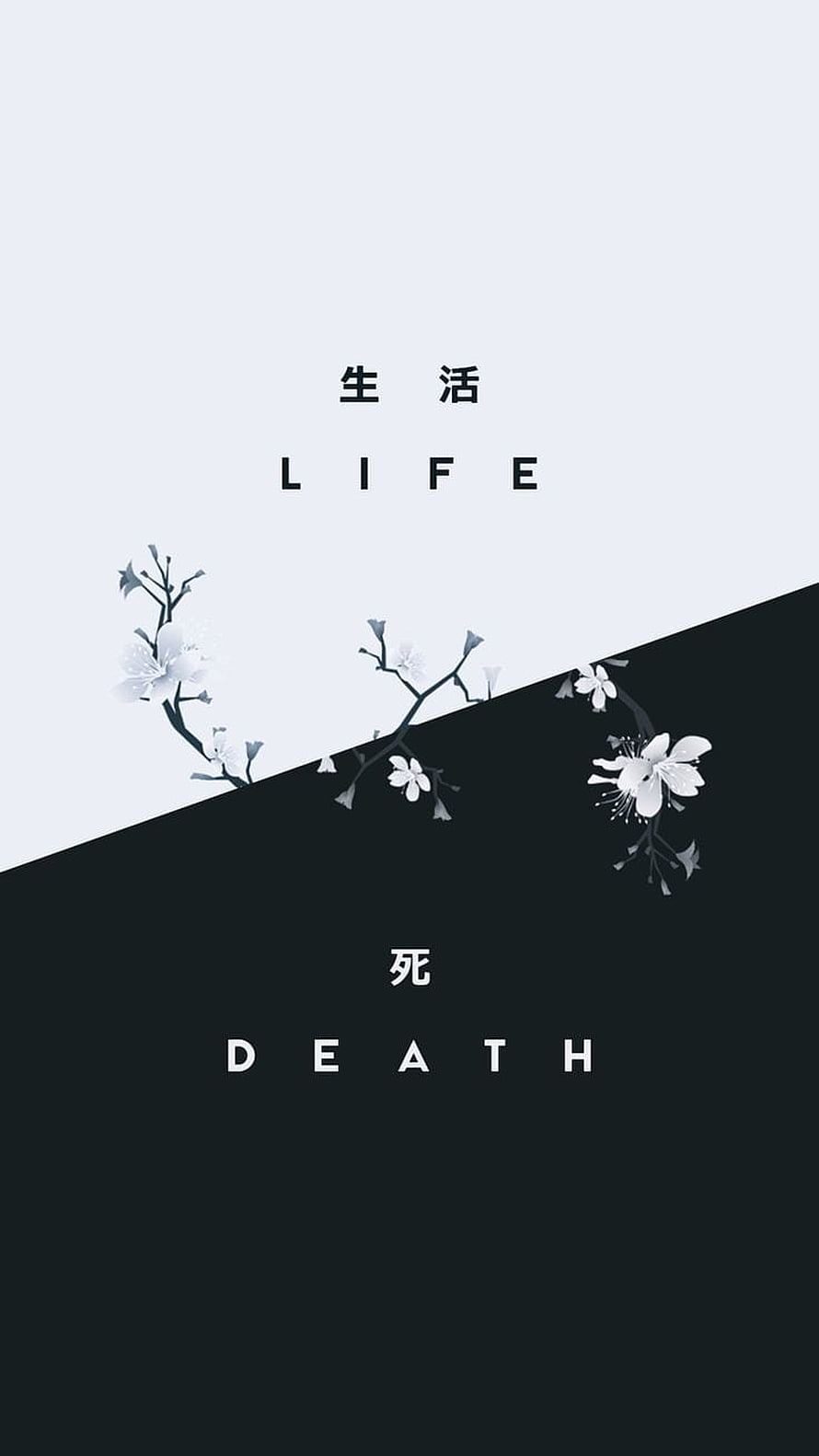 Minimalist Black and White Life and Death Concept with Cherry Blossoms HD phone wallpaper