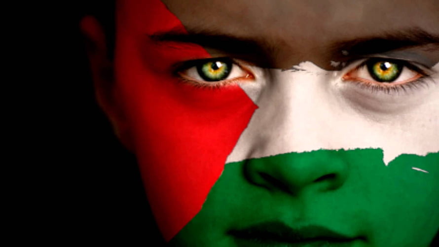 Close-Up Portrait With Palestinian Flag Colors Painted On Face HD wallpaper