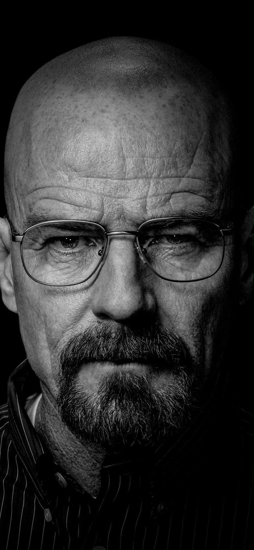 Walter White Breaking Bad Black and White Portrait Close Up HD phone wallpaper