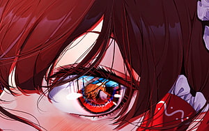 Reimu Hakurei Close-Up Eye Portrait From Touhou Project Anime Style Illustration HD wallpaper