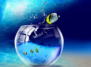 Tropical Butterflyfish Leaping from a Glass Bowl Against a Deep Blue Ocean Backdrop HD wallpaper