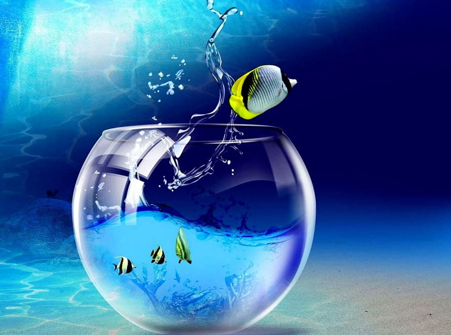 Tropical Butterflyfish Leaping from a Glass Bowl Against a Deep Blue Ocean Backdrop HD wallpaper