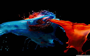 Vibrant Blue and Red Paint Splash Colliding on Black Background HD wallpaper