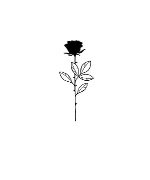Minimalist Black Rose Line Art with Thorned Stem and Leaves on White Background HD phone wallpaper