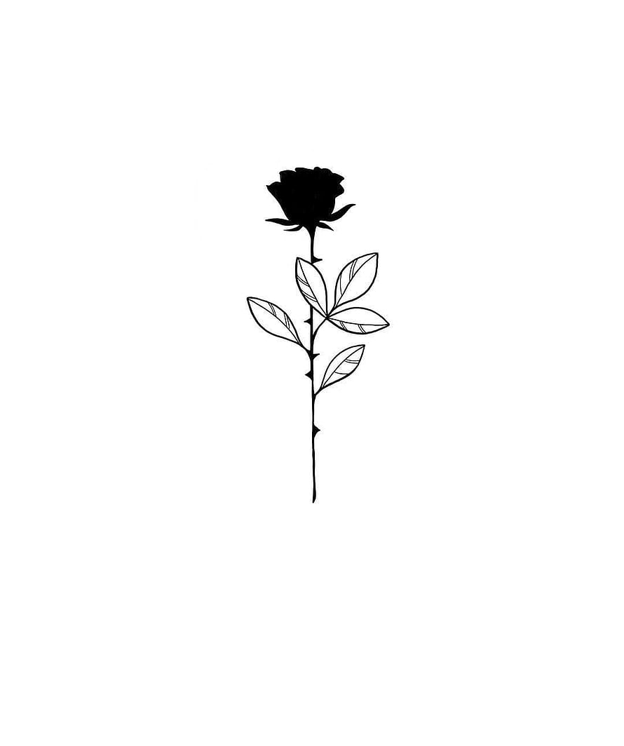 Minimalist Black Rose Line Art with Thorned Stem and Leaves on White Background HD phone wallpaper