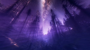 Mystical Purple Forest Under the Milky Way Night Sky HD wallpaper