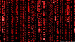 Red Matrix Code Rain Digital Wallpaper HD wallpaper