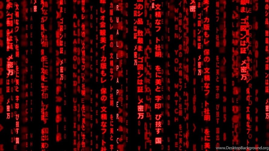 Red Matrix Code Rain Digital Wallpaper HD wallpaper