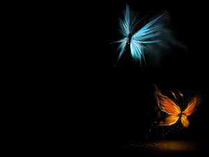 Glowing Blue and Orange Butterflies on a Dark Background HD wallpaper