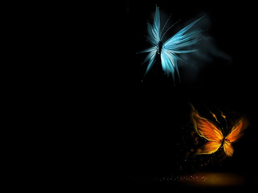 Glowing Blue and Orange Butterflies on a Dark Background HD wallpaper