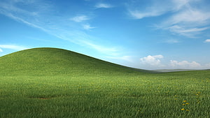 Rolling Green Hills and Blue Sky Landscape with Scattered Wildflowers HD wallpaper