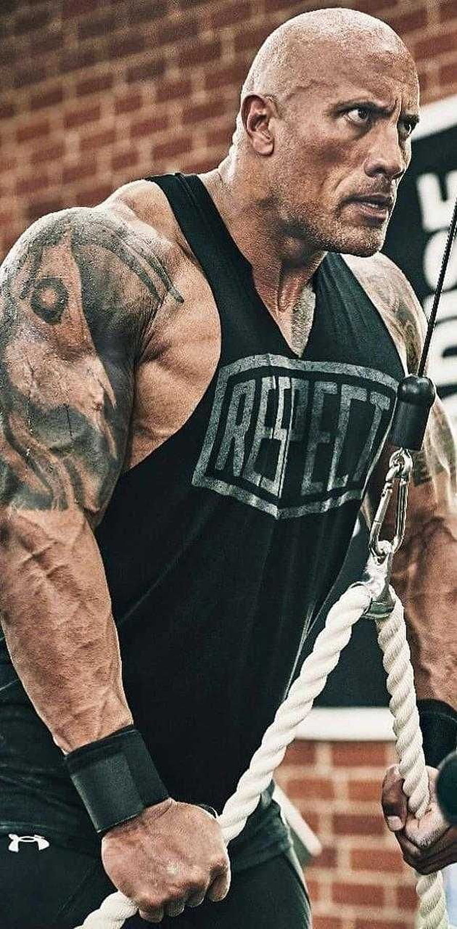 Dwayne Johnson Performing Intense Battle Ropes Workout in Gym HD phone wallpaper