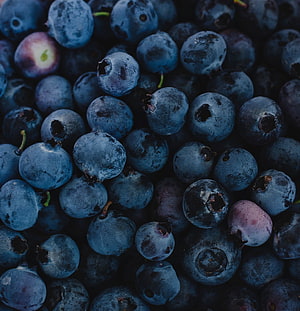 Dark Blueberries Close-Up: Deep Blue Fruit Texture and Natural Berry Details HD phone wallpaper