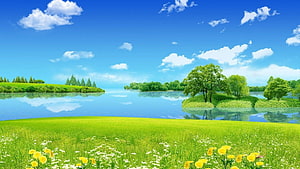 Serene Green Meadow With Wildflowers And Calm Lake Under Blue Sky HD wallpaper