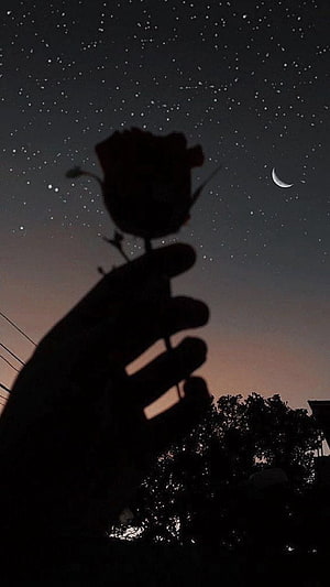Silhouette of a hand holding a rose against a starry night sky with a crescent moon HD phone wallpaper