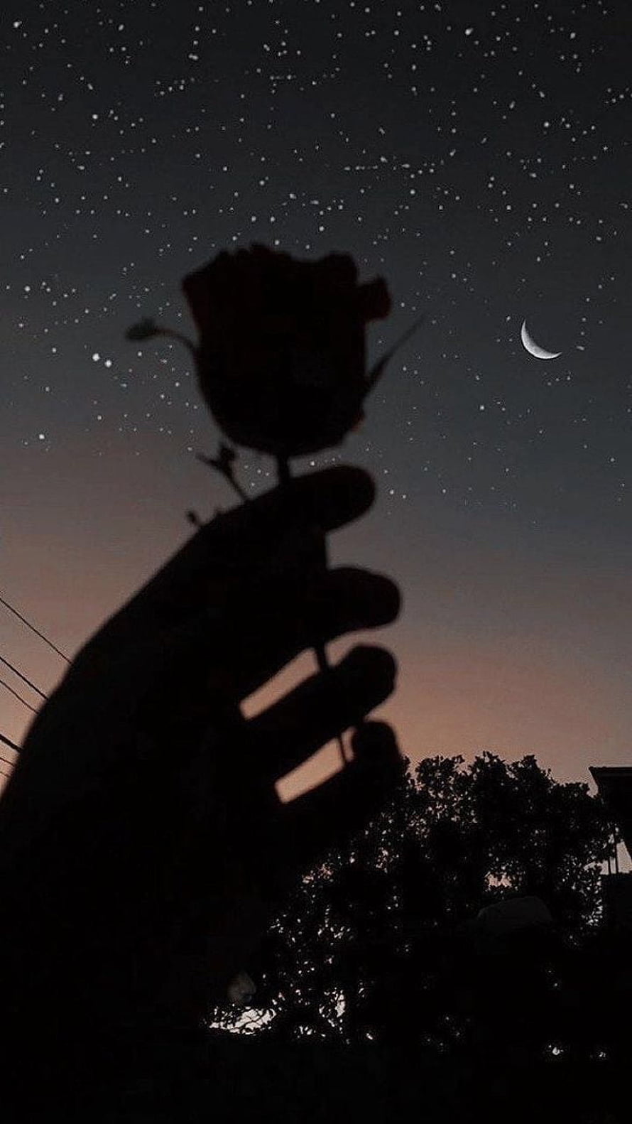 Silhouette of a hand holding a rose against a starry night sky with a crescent moon HD phone wallpaper