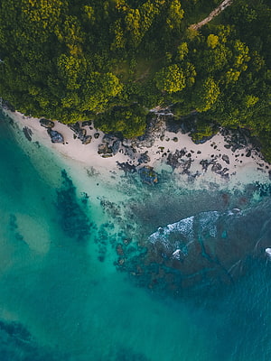 Aerial View of Tropical Beach with Turquoise Water and Lush Forest HD phone wallpaper