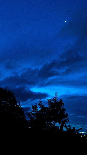 Crescent Moon Over Silhouetted Trees in a Deep Blue Twilight Sky HD phone wallpaper