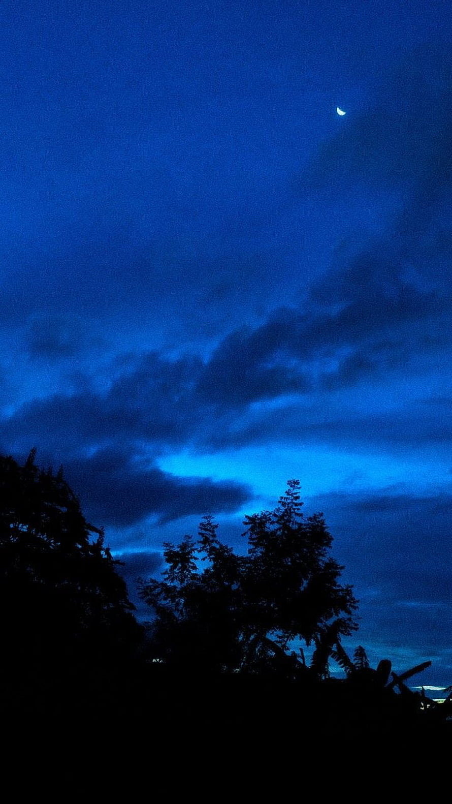 Crescent Moon Over Silhouetted Trees in a Deep Blue Twilight Sky HD phone wallpaper