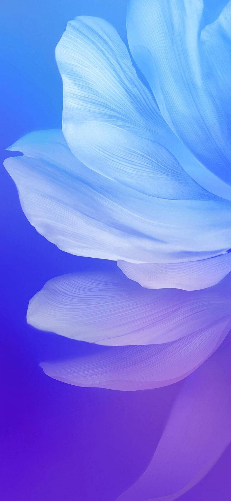 Vivo V17 Stock Blue and Purple Abstract Flower Petal Gradient Wallpaper HD phone wallpaper