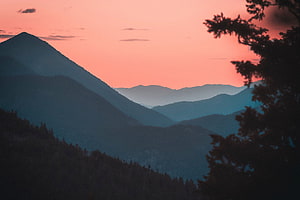 Layered mountain silhouettes against a warm pink sunset sky with foreground pine branches HD wallpaper