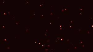 Glowing Red Embers and Sparks Floating Against a Deep Black Background HD wallpaper